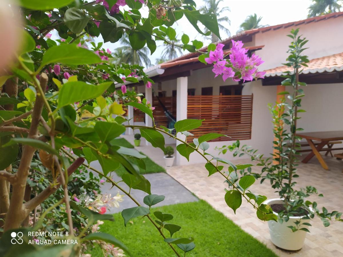 Casa Grande Bed & Breakfast Camocim Bagian luar foto