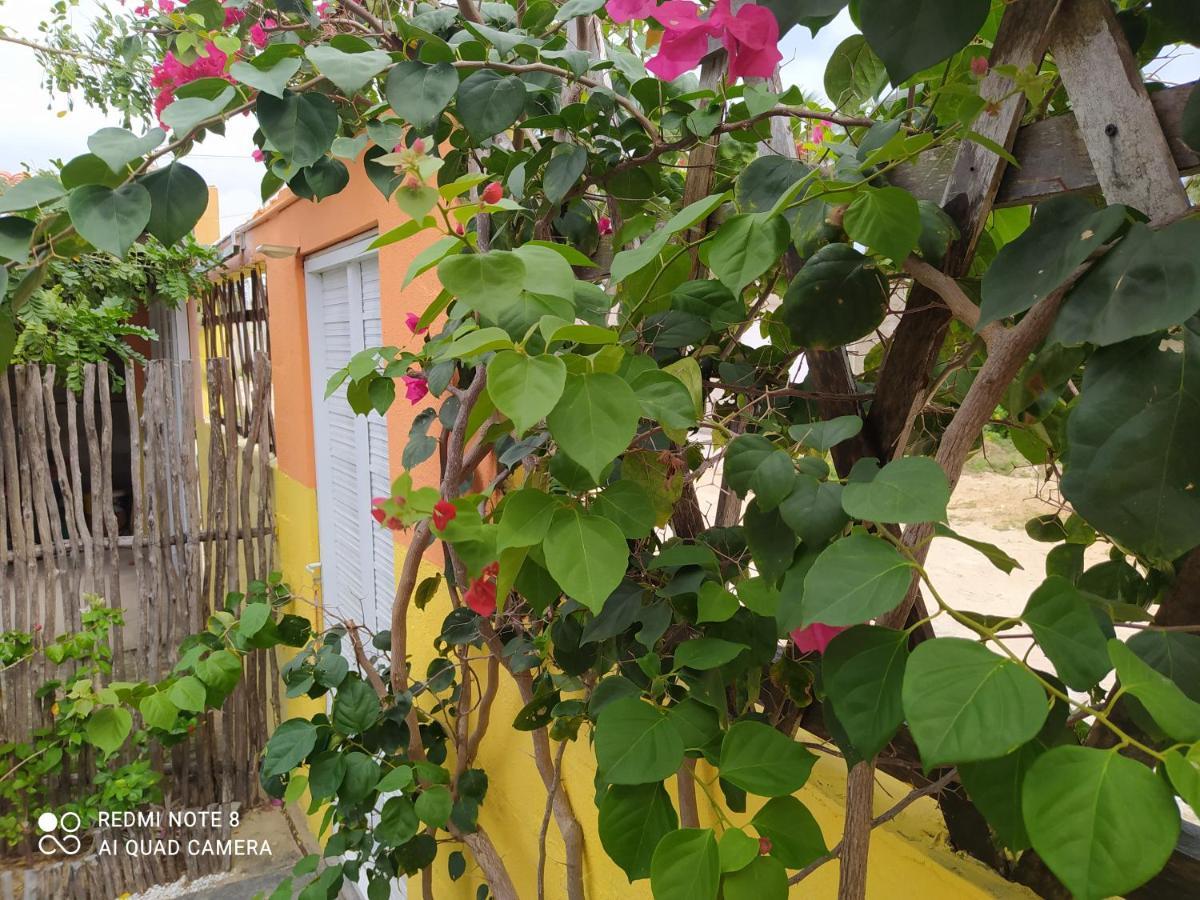 Casa Grande Bed & Breakfast Camocim Bagian luar foto